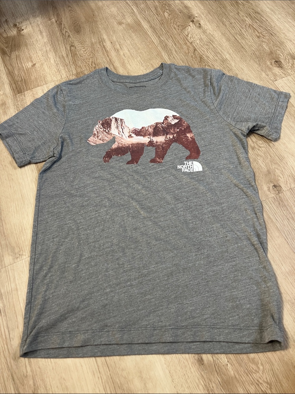 The North Face Gray Bear Mountain Graphic Tee, Women’s size XS